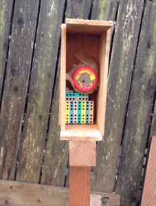 Mason Bee Shelter